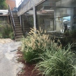 당신의나의케이크 / 잠실카페 / 나우나우나우 / 성수카페 / 어니언카페 / 남양주카페 / 나인블럭 / 신천맛집 / 늘푸른목장 | 디스플레이, 아이디어