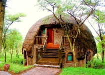 mushroom house | 숲속 집, 작은 집, 집
