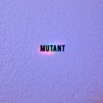 T H E _ C O L L E C T O R | 평화, 현대 미술