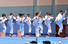 태양절경축 만경대상전국무도선수권대회 개막