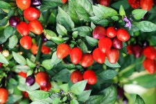 손자병법 36계와 교훈 (13계) | 교훈, 갈등 해결, 칼로