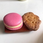 노움 빵식가 on Instagram: “서울 마포구 월드컵로1길 14 마포한강푸르지오1차 로비층 B108-2호 #이몸이만든빵 (@2mombbang )... 