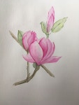 천아트에 있는 이미숙님의 핀