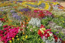 MMTH양재시민의숲 | 양재시민의 숲 | Plants, Garden