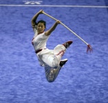 탑핏30속초종합격투기고려전통무예원 | World Wushu Union Federation Council-WWUFC: August 2015 | 무술, 사진