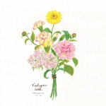 색연필 1 (colored pencil)에 있는 핀