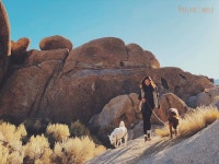 차타고 집으로 돌아 가다가 너무 배가 고파서 식당을 찾아 갔는데 잘못... | Natural landmarks, Monument valley, Monument