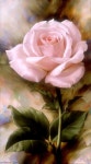 40 Beautiful and Realistic Flower Paintings for your inspiration | 장미 그림, 장미 꽃 그림, 꽃그림