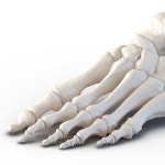 Пин от пользователя 다같이미술학원 부원장 이수희 수희쌤 на доске 해부학 / anatomy