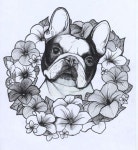 f9918efaac75fcaa4b13a77f7ecc8d65.jpg (620×675) | 강아지, 그림 디자인, 프렌치 불독