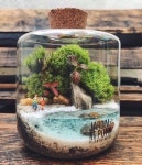 •플랜테리어 Terrarium 으로 나만의 아늑한 실내정원 만들기! (With images) | Beautiful terrariums, Terrarium, Terrarium scene