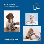 [삼성카드][이벤트] 삼성카드 아지냥이 펫밀리 이벤트 시즌1 대공개 보기 | 카드, 삼성