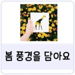 [꼬미쌤]실외활동/어린이집/유치원/봄과동식물/봄/홈스쿨/봄풍경/봄/봄소풍 : 네이버 블로그 | School, Polaroid film, Diy