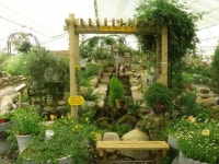 Osaek herb farm inside 오색 허브 농원 내부  (강원도 양양) | Garden arch
