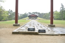 {title}(이미지 포함)