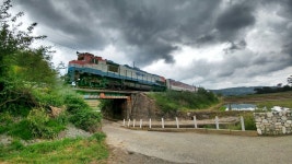 선덕여왕릉 가는 길목!