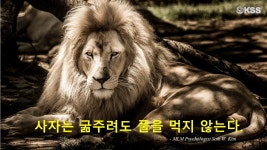 더휴앤컴퍼니 #류석우 #해외리더십세미나 #글로벌네트워크플랫폼 #Networkmarketing #네트워크마케팅대학 #GNMU #비즈슈머 #빅뱅… | 니스