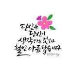 당신은 당신이 생각한 것보다 훨씬 아름답습니다 야무진걸님의 의뢰글귀입니다~^^ #캘리그라피요청글귀 #... | 좋은 말, 웃긴, 그림