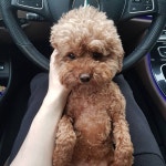 웨이 #비너스짐 #운동 #일상 #daily #selfie #다이어터 #다이어트... 웨이  #비너스… | Forex trading, Forex trading strategies, Trading strategies