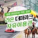 [제주] 더마파크 자유이용권 - 2020