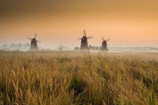 소래습지 생태공원 by JINHYUNG GIL on 500px