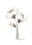 Image result for how to paint a white carnation | 수채화 아트, 그림, 꽃그림