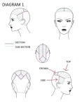Pin by 민영 김 on 도해도 | Hair color techniques, Hair color placement, Hair foils