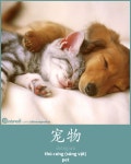 The 21 Most Touching Interspecies Friendships You Never Thought Possible | 사랑스러운 새끼 고양이, 귀여운 고양이, 귀여운 개