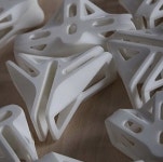 조인트에 있는 본 새님의 핀 - 2020