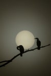 필인 さんのボード「캘리그라피」 | フリーズ, 写真集