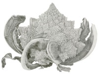 Sally Jacobs Larger Than Life TAG Gallery Bergamot Station Santa Monica, CA… | 아트