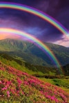 Flowers and rainbows - a winning combination. | 석양, 풍경 사진, 풍경 디자인