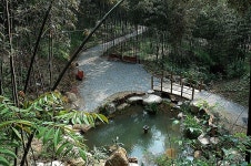 담양 죽녹원 – 대나무의 고장에서 즐기는 죽림욕 | Outdoor structures, Garden bridge, Outdoor