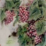 Pin de 강인숙 en 임마누엘 | Flores, Uvas, Plantas
