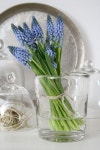 Spring Time  flowers in vase | 꽃다발, 꽃꽂이, 꽃