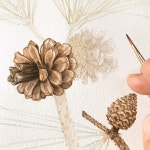 🌿 #보타니컬아트설렘수채 #기초보타니컬아트... botanicalpainting #watercolor… | 꽃그림, 솔방울, 수채화