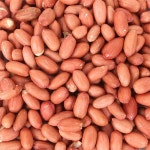 영희네농장. | Vegetables, Food, Beans
