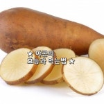 ★ 야콘의 효능과 먹는법 ★   야콘은 남아메리카 안데스산맥이... 야콘은 뿌리 생김새가 고구마와 비슷하지만,  당도가 높아 식용으로 재배되는... 