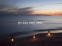 물이 흐르듯 사랑도 그렇게… | 사랑은, 사랑