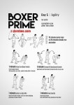 운동 훈련 강화  Strengthening exercise training 기본운동에 있는 minsoo lee님의 핀 | 운동, 복싱, 무술