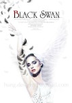 블랙스완…영화를 가장 잘 표현한 영화포스터 1위 선정 - 인스티즈(instiz) 인티포털 - 2020 | 영화 포스터, 영화 의상, 영화