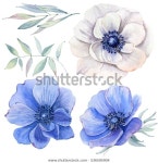 Pin su 보타니컬