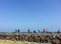 제주도 카페마니 추천 | Dolores park, Travel, Park