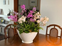 Orchid arrangements에 있는 Juyeon Kim님의 핀 Orchid  arrangements에 있는 Juyeon Kim님의 핀