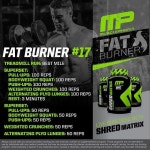 맨몸운동에 있는 Codenameviper님의 핀