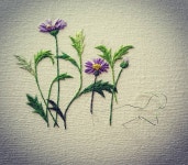사계국화 그리기~ #꽃자수#자련수#사계국화#자수도안 #embroider #야생화자수 #wildflowers | Brazilian embroidery, Ribbon... 