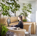 김현아님이 카페인테리어에 올린 실내정원 이미지 | 집, 인테리어