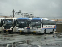 Bus에 있는 8478 K님의 핀