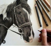 색연필 1 (colored pencil)에 있는 BongAe Song님의 핀 | 색연필