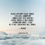 Pin on 긍정적인 명언들